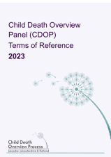 CDOP Terms of Reference