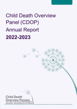 CDOP Annual Report 2022-23